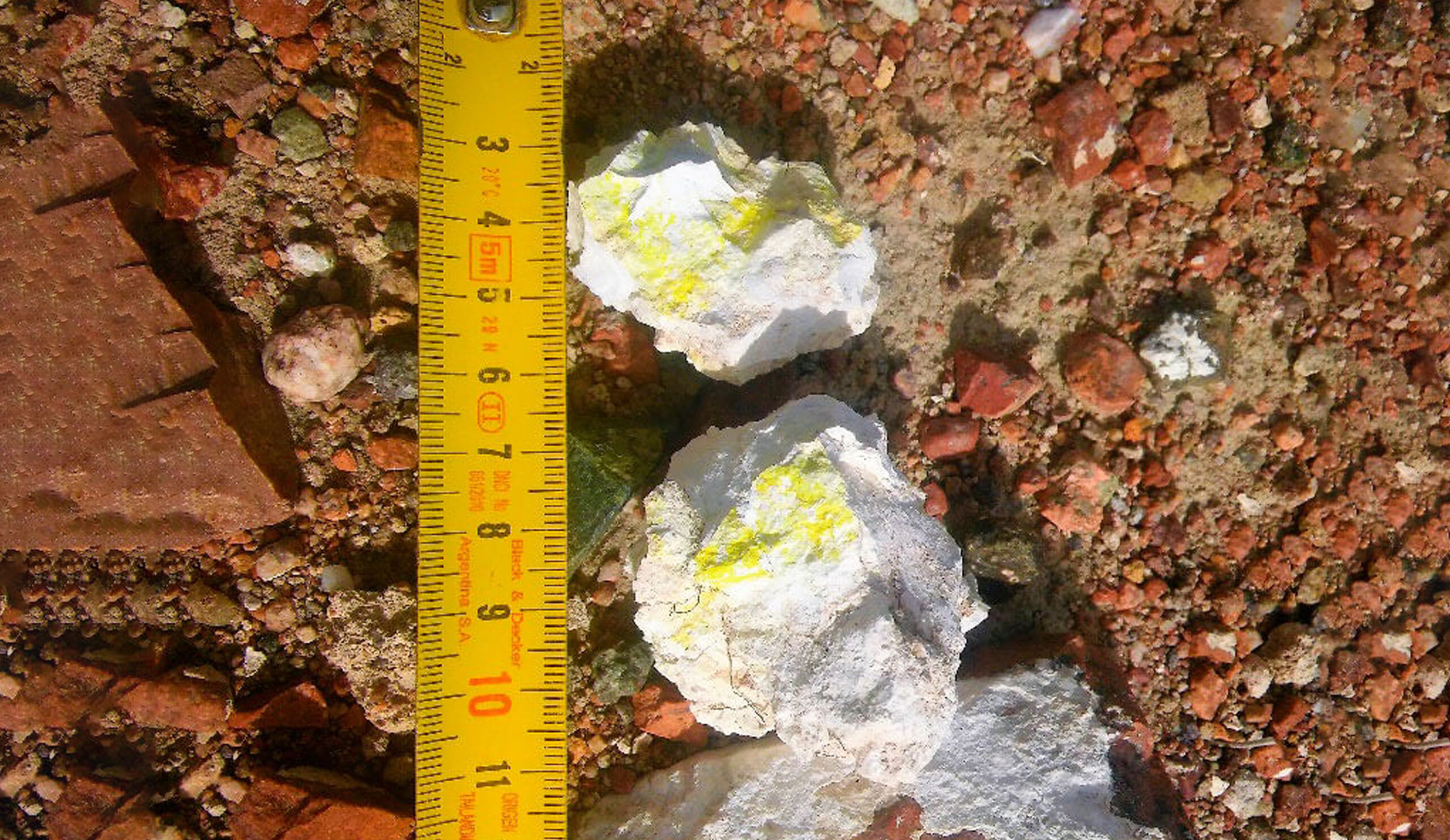 trendix mining bajo del cerro piche