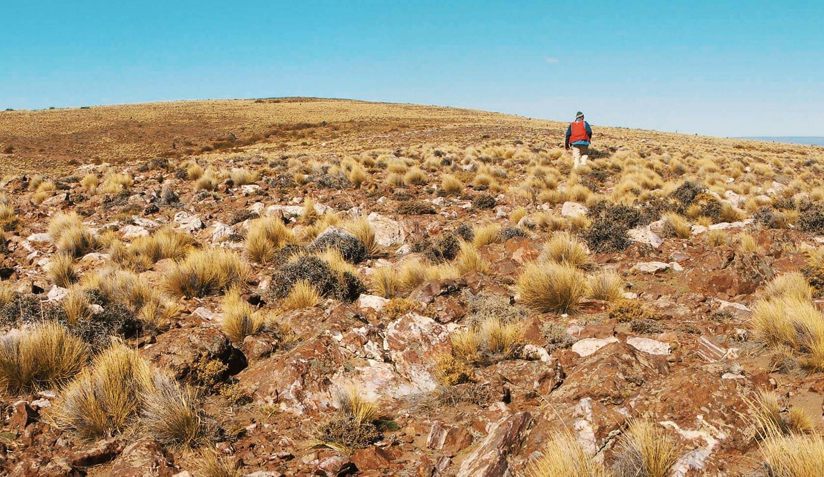 trendix mining cerro choique proyect image