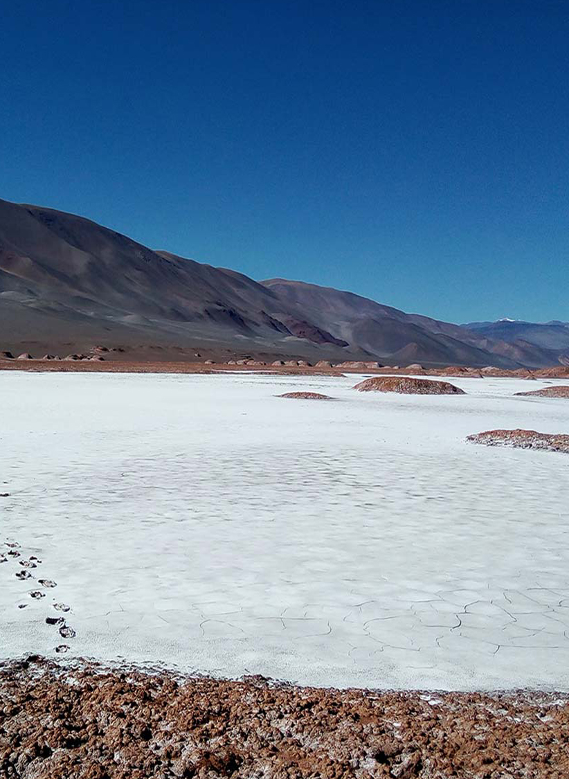 trendix mining descubrimientos antofalla norte
