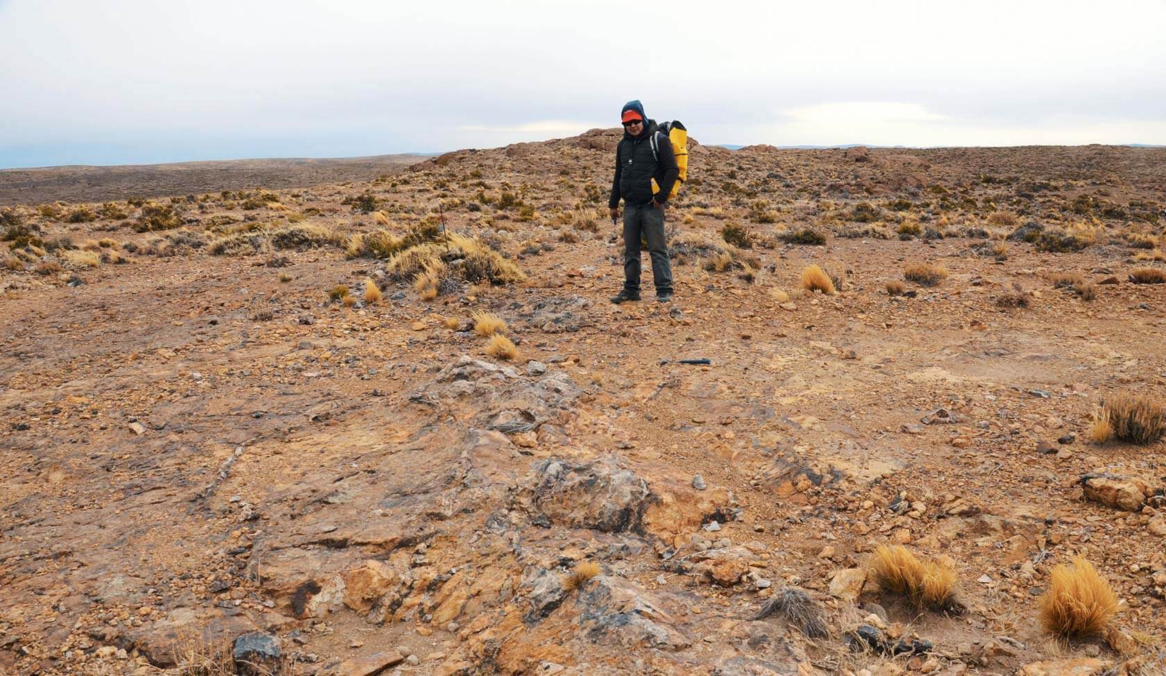 la luz trendix mining